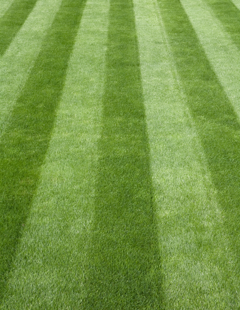 Delaware Lawn Mowing & Lawn Care Services